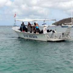 Dive Bequia