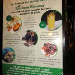 Lionfish Marigot Bay, Rainforest Hideaway