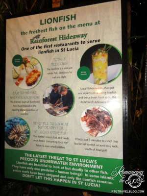 Lionfish Marigot Bay, Rainforest Hideaway