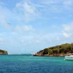 Tobago Cays parking