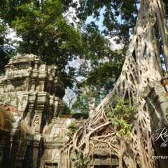 Angkor Wat - Ta Prohm