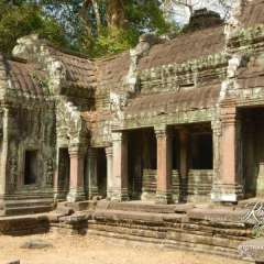 Angkor Wat - Ta Prohm