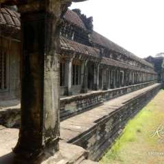DSCN6600