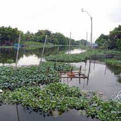 Aranta side canal - peaceful- Bangkok