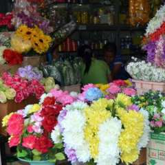 Wonderful variety at the flower market - Bangkok