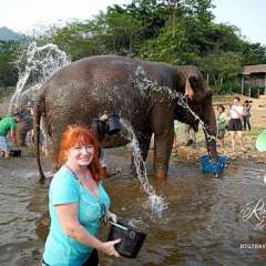 Elephant Nature Park - bath time