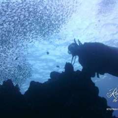 Diving - Wicked - sunrise dive