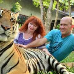Phuket Tiger Kingdom