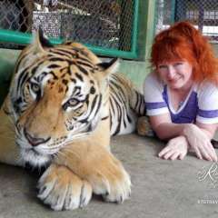 Tiger Kingdom