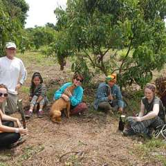 Elephant Nature Park - cornfield cutting crew