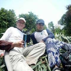 Elephant Nature Park - on top of the corn