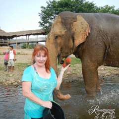 Elephant Nature Park - an elephant bath