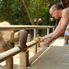 Elephant Nature Park - banana bar