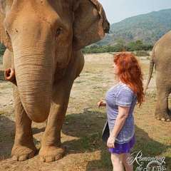 Elephant Nature Park - Sheila