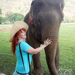 Elephant Nature Park - Sheila