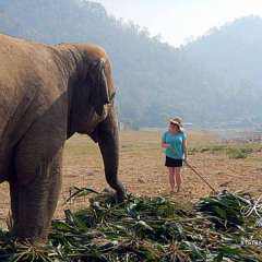 Elephant Nature Park - morning girl chat