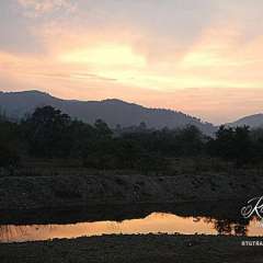 Elephant Nature Park - sunset