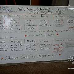 Elephant Nature Park - volunteer schedule