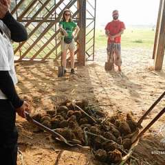 Elephant Nature Park - working on a big pile