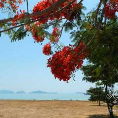 Koh Lanta