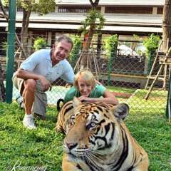 Tiger exam