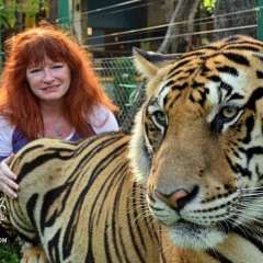 Tiger largest