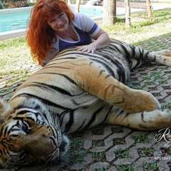 Tiger largest