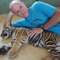 Tiger smallest