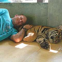 Tiger smallest