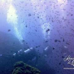 Sunset dive