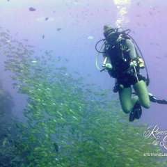 Dive guide, Helena