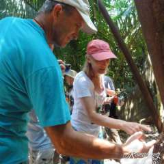 Monkey River termite tasting