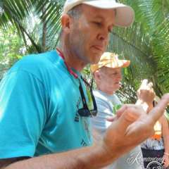 Monkey River termites - a bit minty