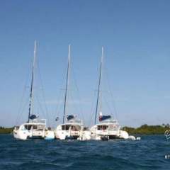 Our three catamarans nestled