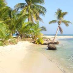 Pristine Ranguana, but where's dinner