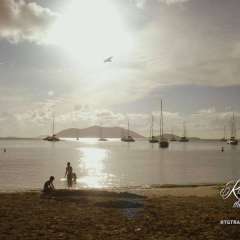Trained seagull, Cane Garden Bay, Tortola