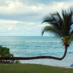 Antigua - Hawksbill resort