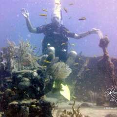 St. Kitts dive - wreck diving