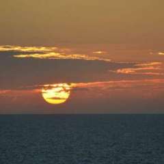 Cruise Sunset