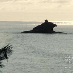 Antigua roadtrip - Hawksbill rock