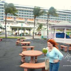 Freeport and the blustery day