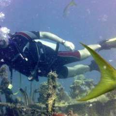 St. Kitts diving2