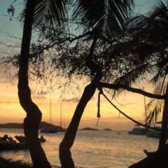 Tobago Cays sunset
