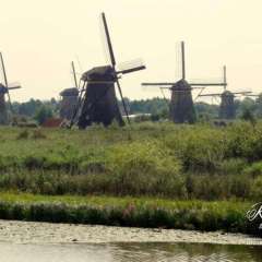 Kinderdijk