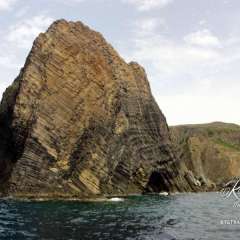 Circle Island Boat Excursion