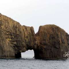 Circle Island Boat Excursion