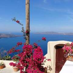 Fira view