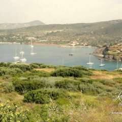 View from Poseidon's Temple