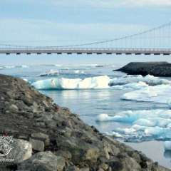 Bridge across the shortest river in Iceland, shuttling ice from to the Atlantic Ocean