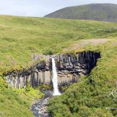 Svartifoss Waterfall in Skaftafell National Park